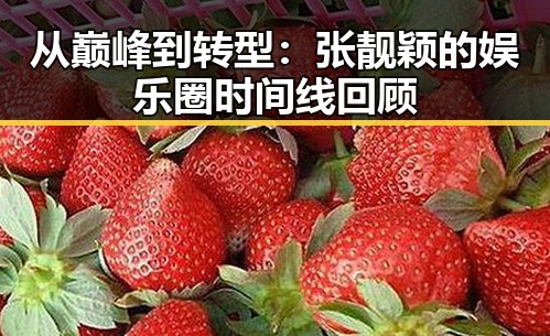 从巅峰到转型:张靓颖的娱乐圈时间线回顾