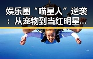 娱乐圈“喵星人”逆袭:从宠物到当红明星,真相竟是这样!
