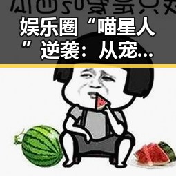 娱乐圈“喵星人”逆袭:从宠物到当红明星,真相竟是这样!