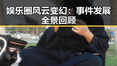 娱乐圈风云变幻：事件发展全景回顾